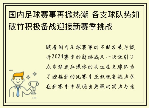 国内足球赛事再掀热潮 各支球队势如破竹积极备战迎接新赛季挑战