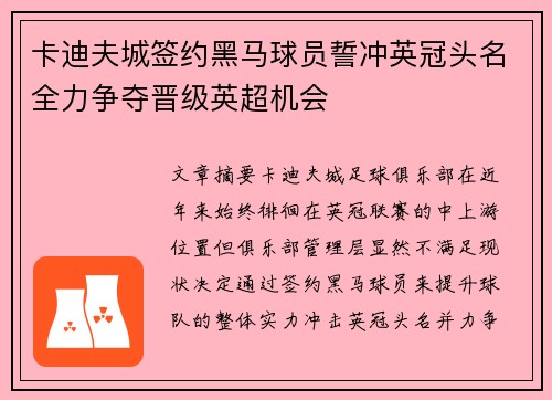 卡迪夫城签约黑马球员誓冲英冠头名全力争夺晋级英超机会