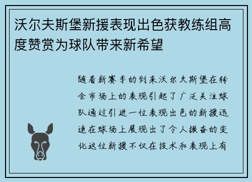 沃尔夫斯堡新援表现出色获教练组高度赞赏为球队带来新希望