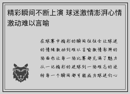 精彩瞬间不断上演 球迷激情澎湃心情激动难以言喻