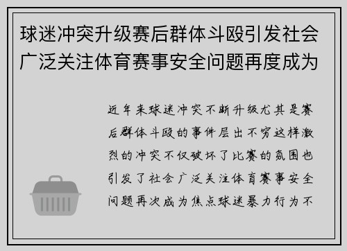 球迷冲突升级赛后群体斗殴引发社会广泛关注体育赛事安全问题再度成为焦点